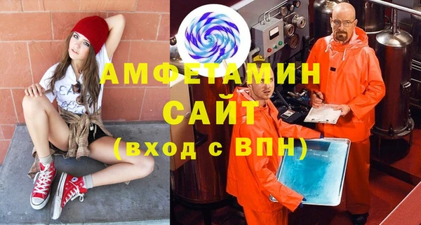 дурь Няндома
