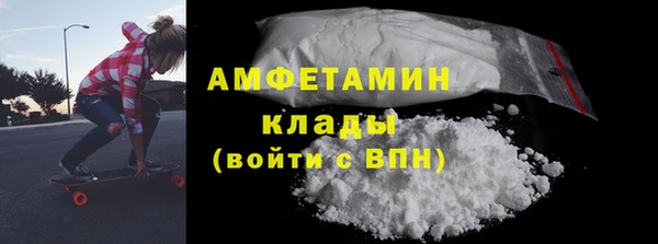 дурь Няндома