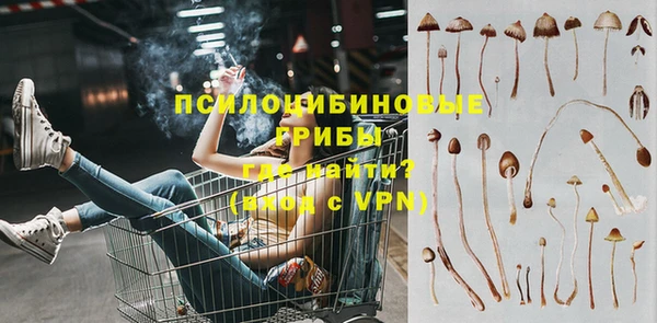 тгк Арсеньев