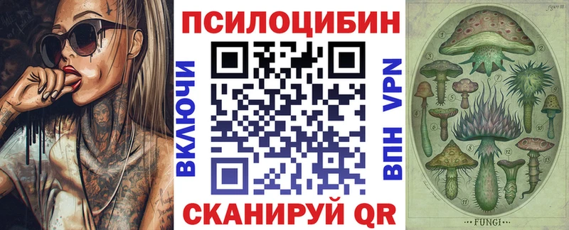 Псилоцибиновые грибы мицелий дарнет шоп Трубчевск